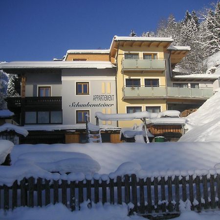 Appartement Schaubensteiner Zell am See Exterior photo